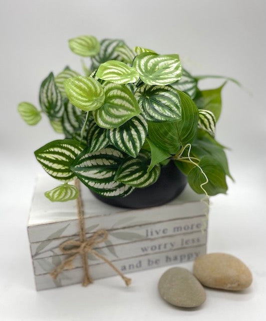 green leaf faux plant in low black ceramic pot