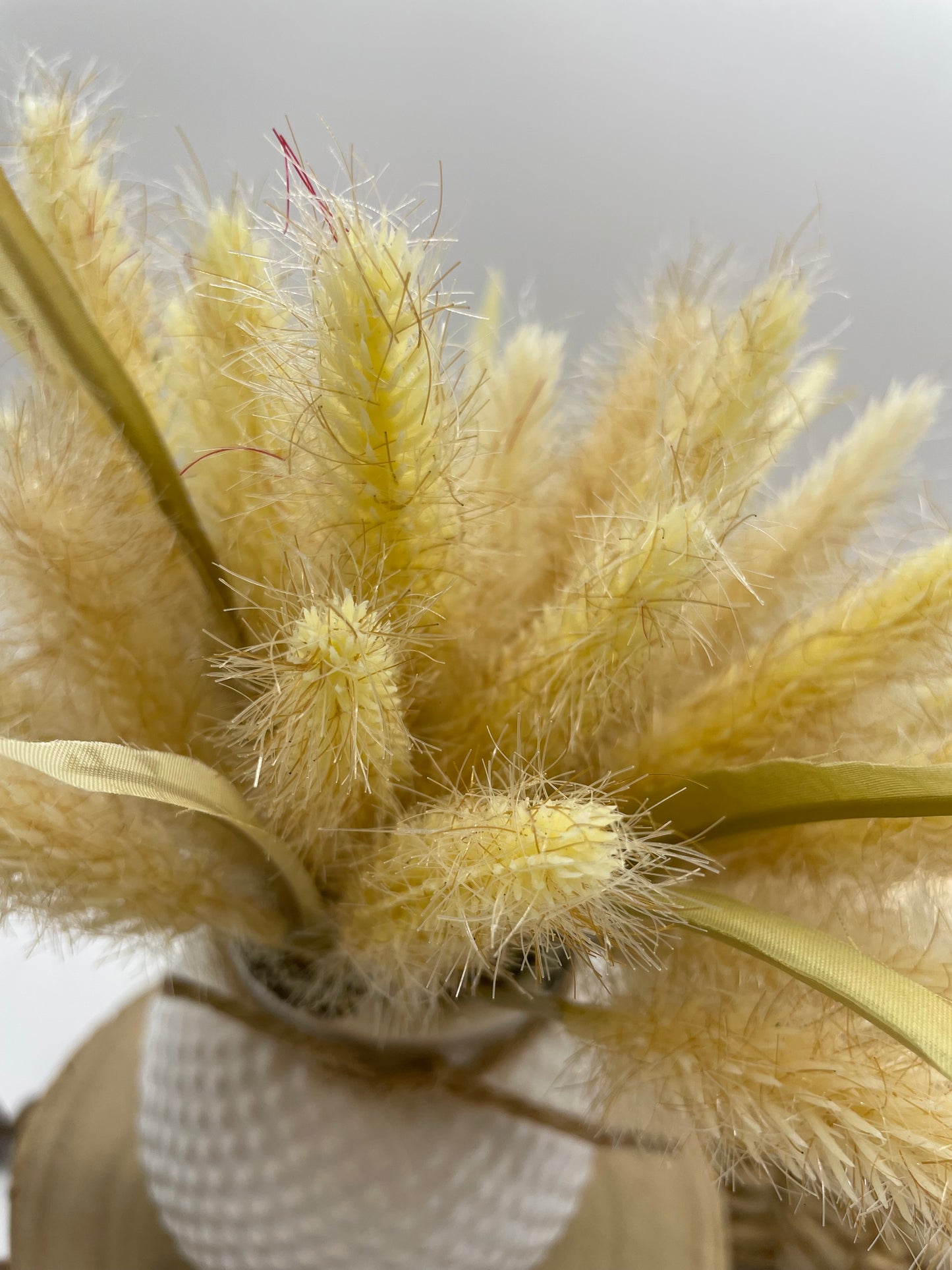 Fall Wheat in White Ceramic Vase, Small Autumn Arrangement for Coffee Table