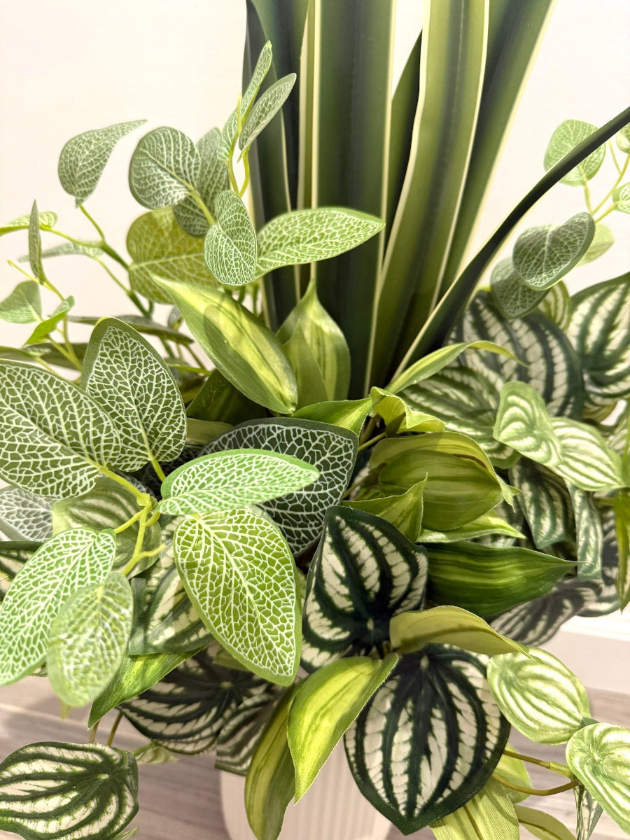 Close-up of various green plants with different leaf patterns in tall white ceramic pot