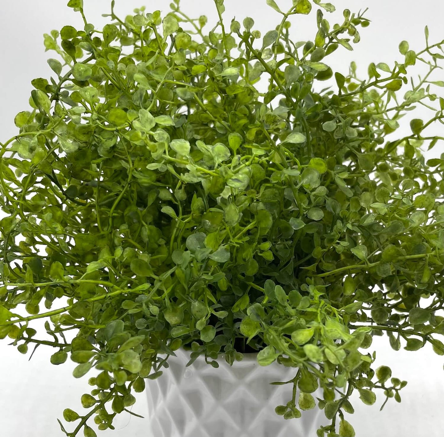 realistic vivid green faux plant in white ceramic pot in diamond pattern