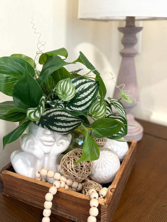 realistic green and green-white leaf Faux Plants in Lady Head Vase