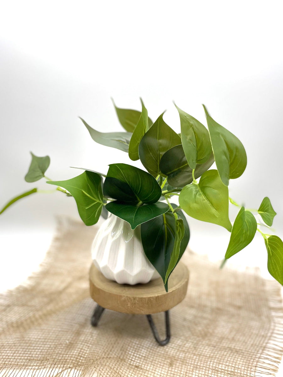 green leaf faux plant in white ceramic vase