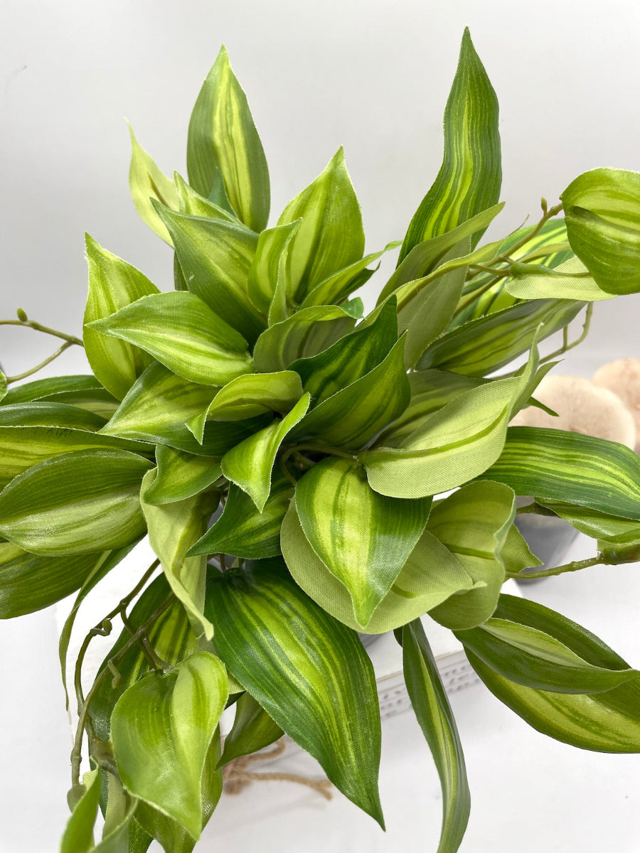 Green Leaf Plant in Gray Vase Pot
