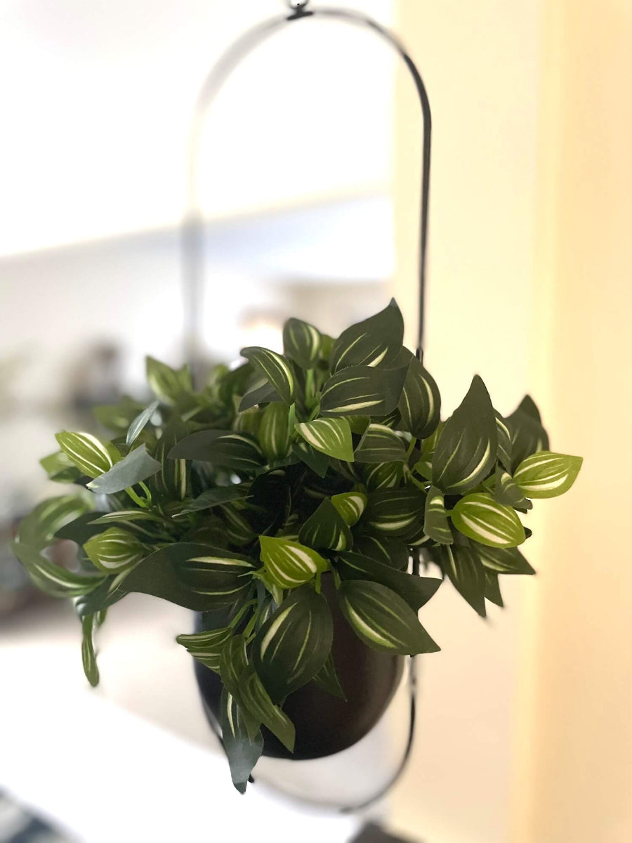 faux plant with green leaves and white stripes in balcer metal planter on chain