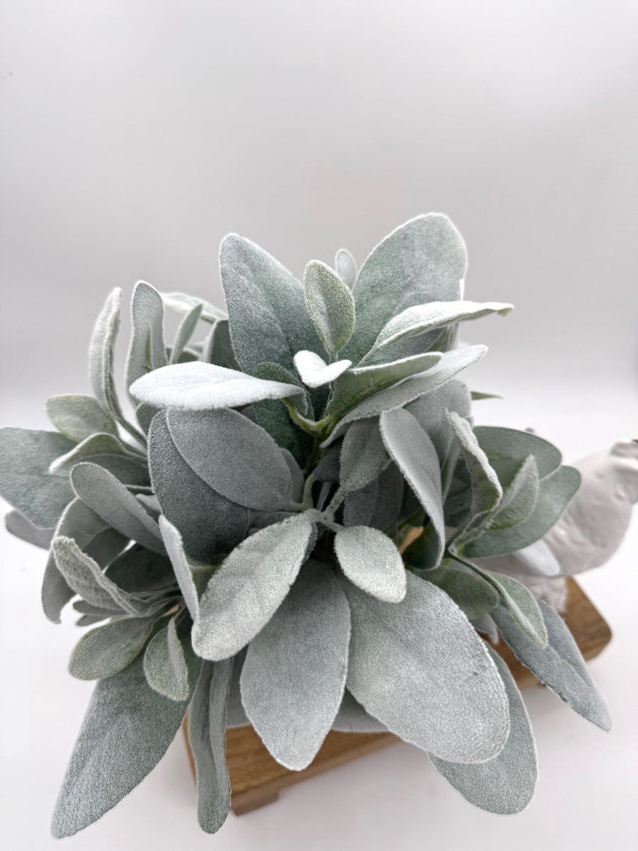 Faux Lambs Ear in White Ceramic Vase