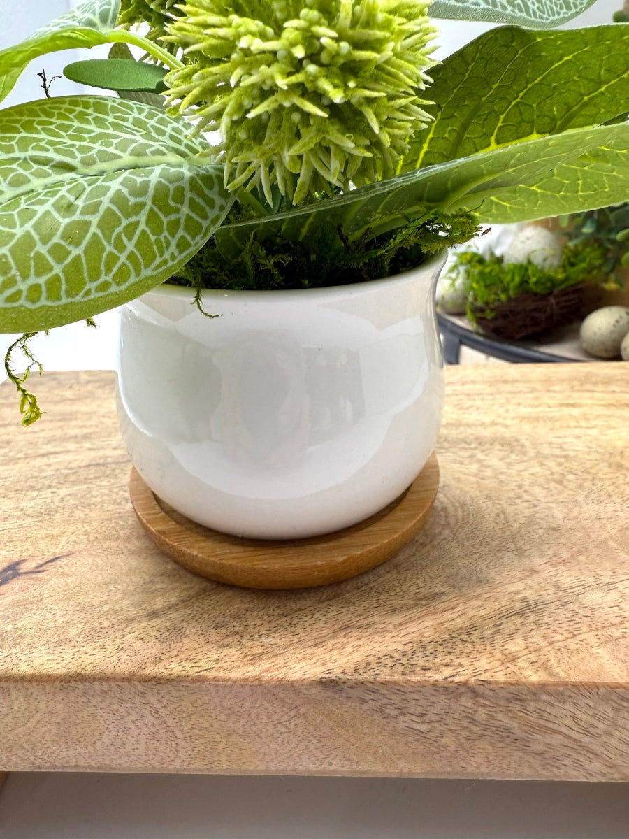 small faux green plant with leaves in white ceramic pot