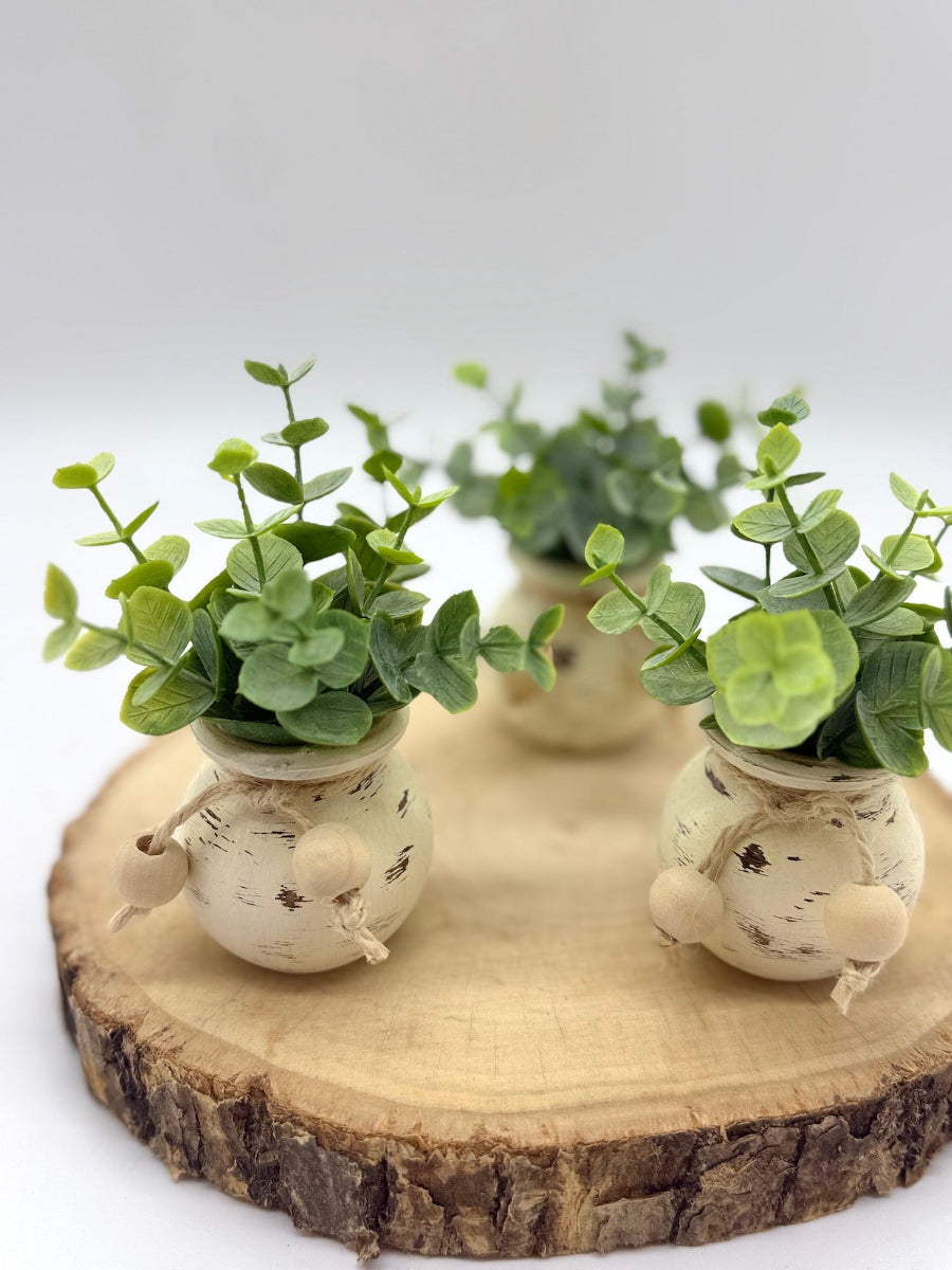 mini greenery in jar