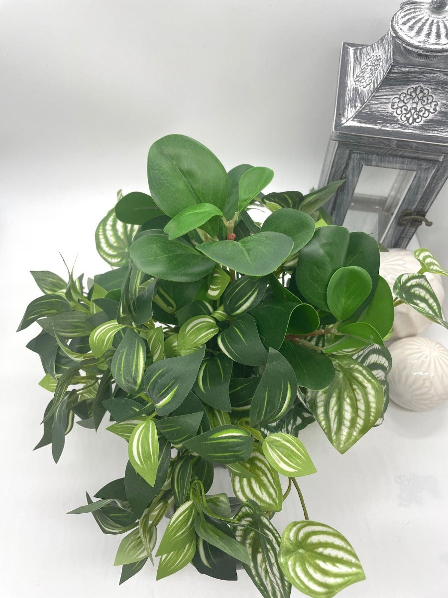 Fake Plants Home Decor, Lifelike Rare House Plants, Artificial Plant Mix in Black Ceramic Pot, Elegant Silk Greenery in Green and Green-White Colors, Faux Plants for Bathroom, Bedroom, Kitchen, Living Room