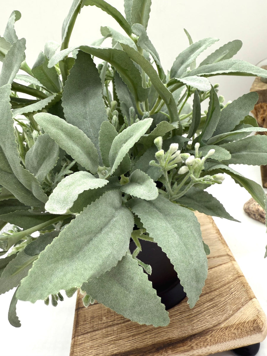 Faux Sage Arrangement  with white little wild flowers in Black Ceramic Vase