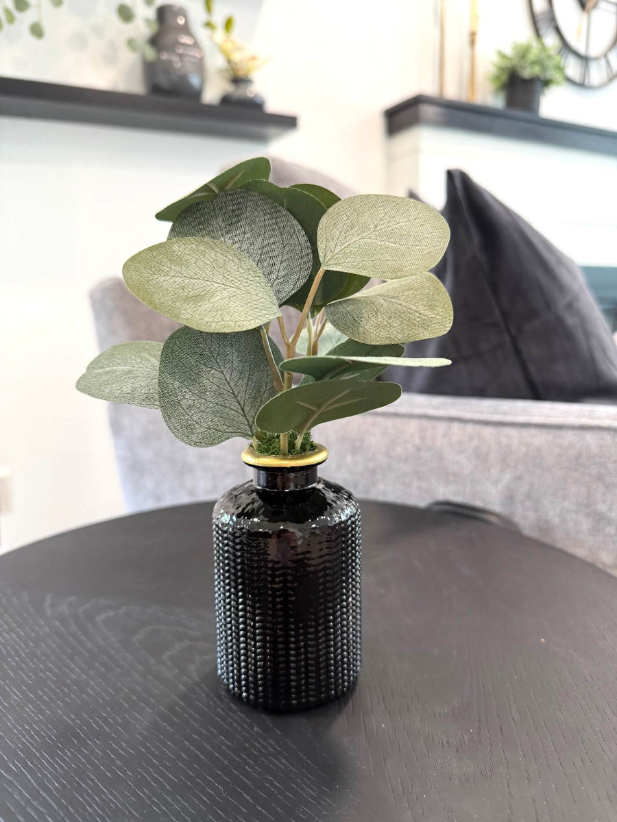 small faux silver dollar eucalyptus arrangement in elegant black ceramic vase