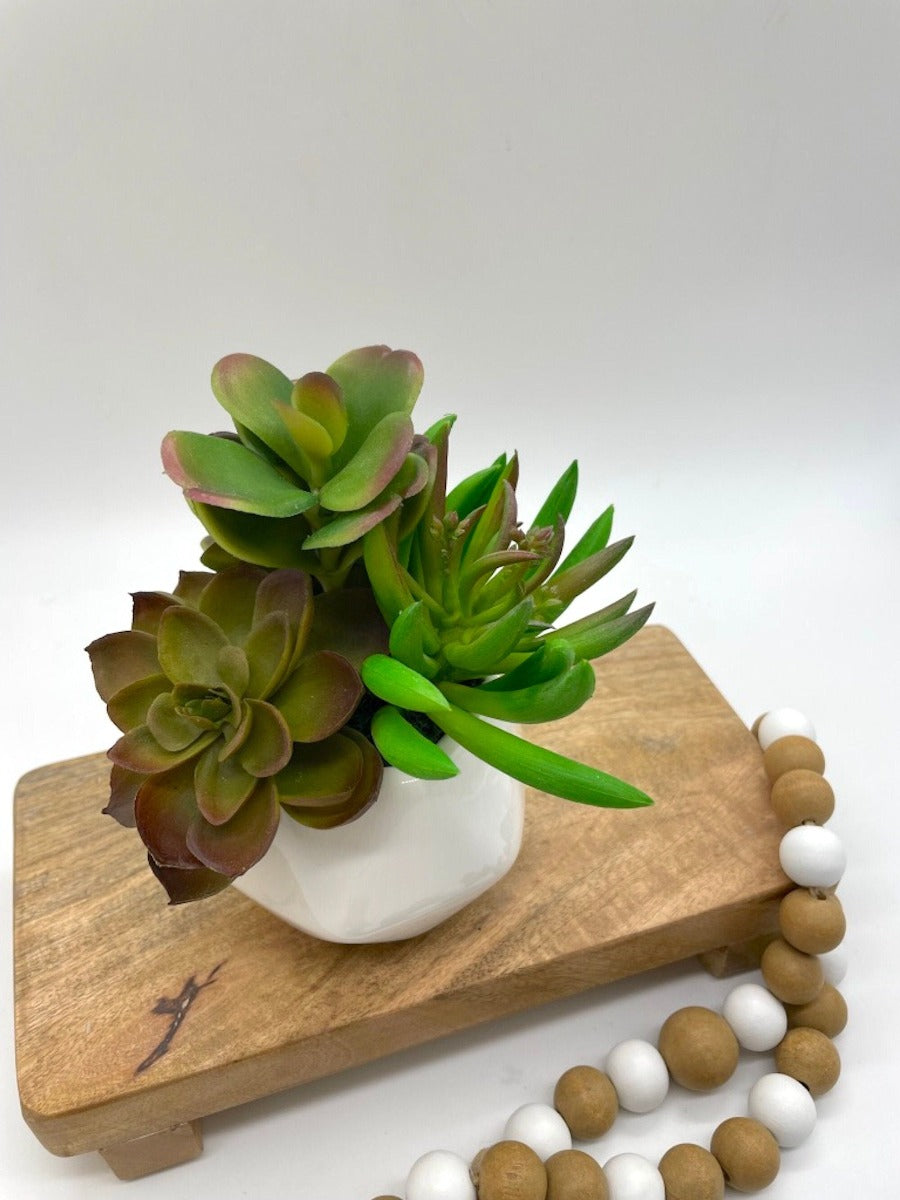 succulents artificial plants Small Faux Succulents, Mini Tabletop Decor – allseasonshousedecor.com