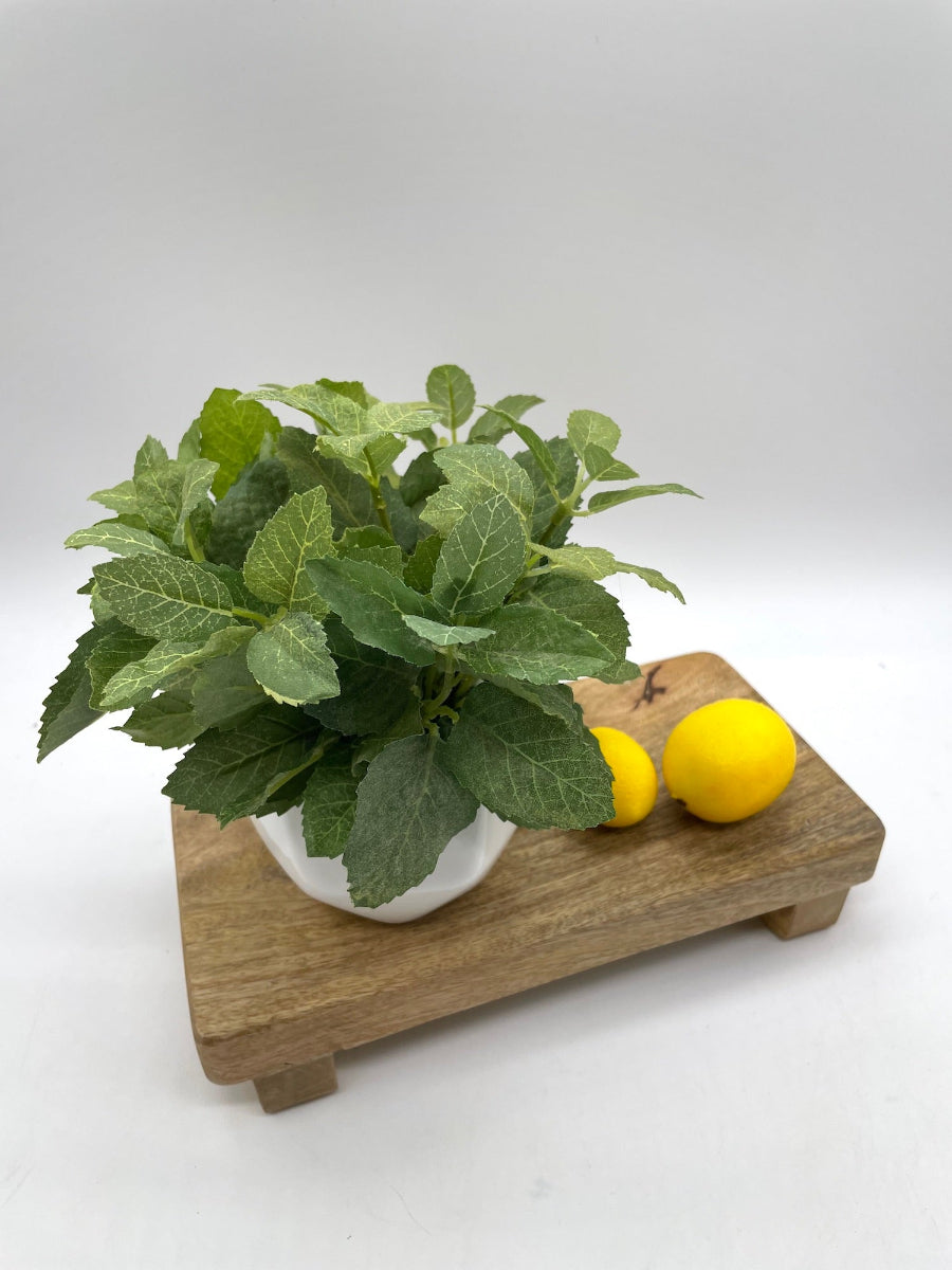 realistic looking small faux mint arrangement in white geometric ceramic pot vase
