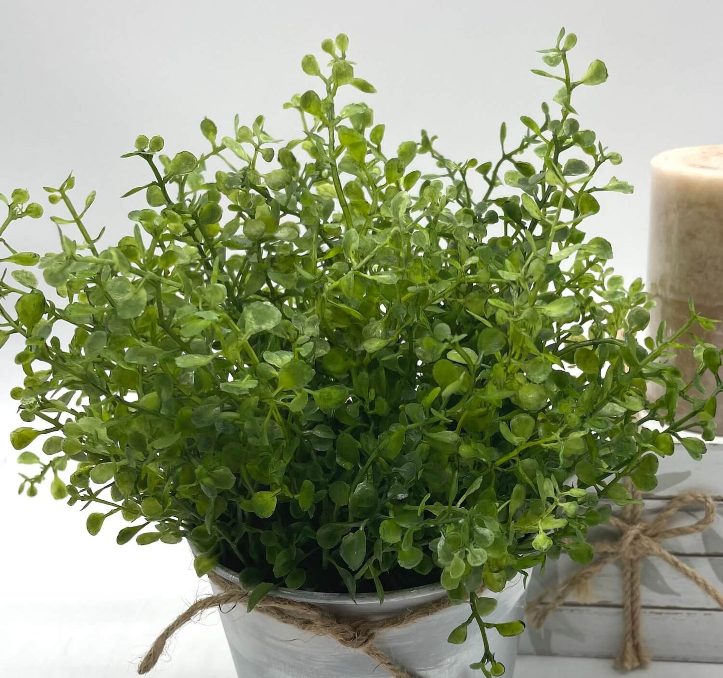 vivid green realistic greenery in metal galvanized pot touched with white paint and decorated with jute