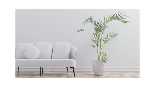 Fake Plants That Look Real (But Better)