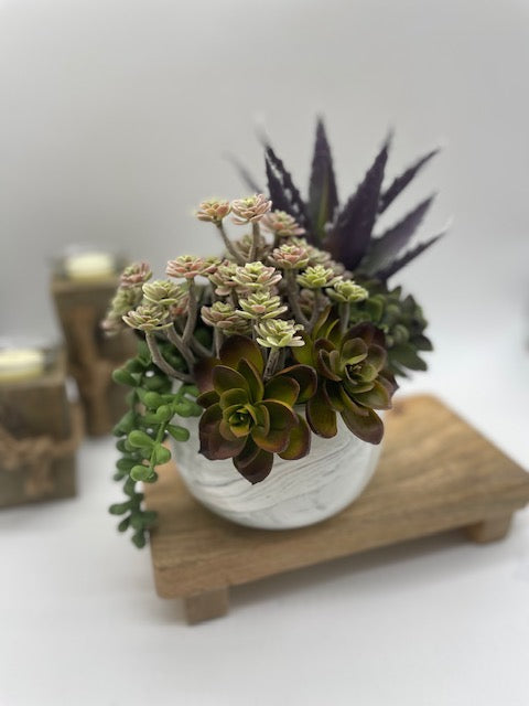 Faux Succulents