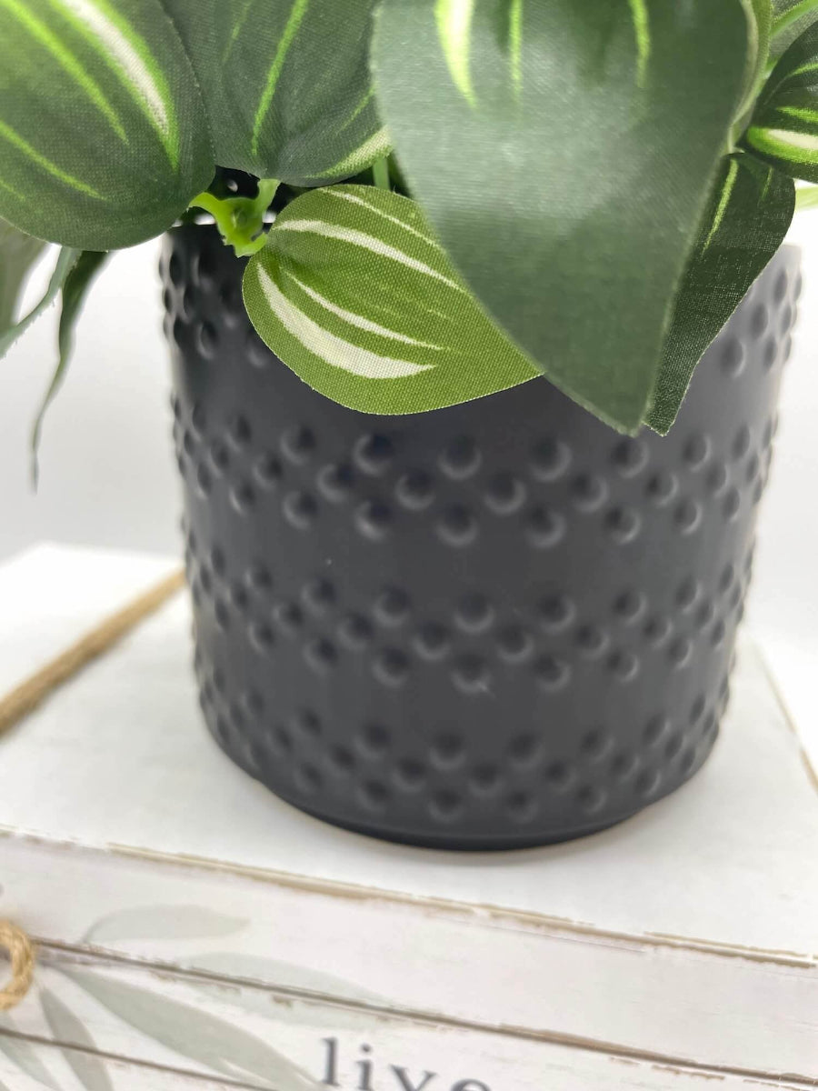 close up for decorative black ceramic po
