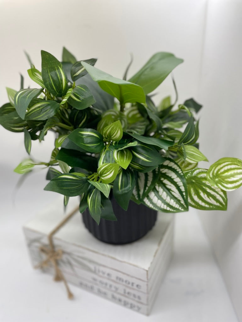 Fake Plant Mix in Black Ceramic Pot, Elegant Silk Greenery, Lifelike Plants