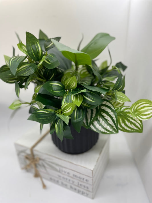 Fake Plant Mix in Black Ceramic Pot, Elegant Silk Greenery, Lifelike Plants, by AllSeasonsHouseDecor