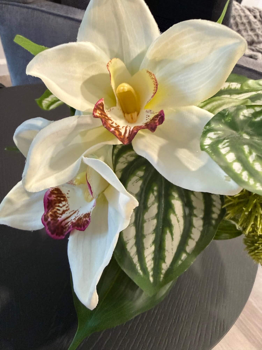 close up for small realistic looking white orchid arrangement with greenery in white ceramic pot vase of geometric shape set on coffee table
