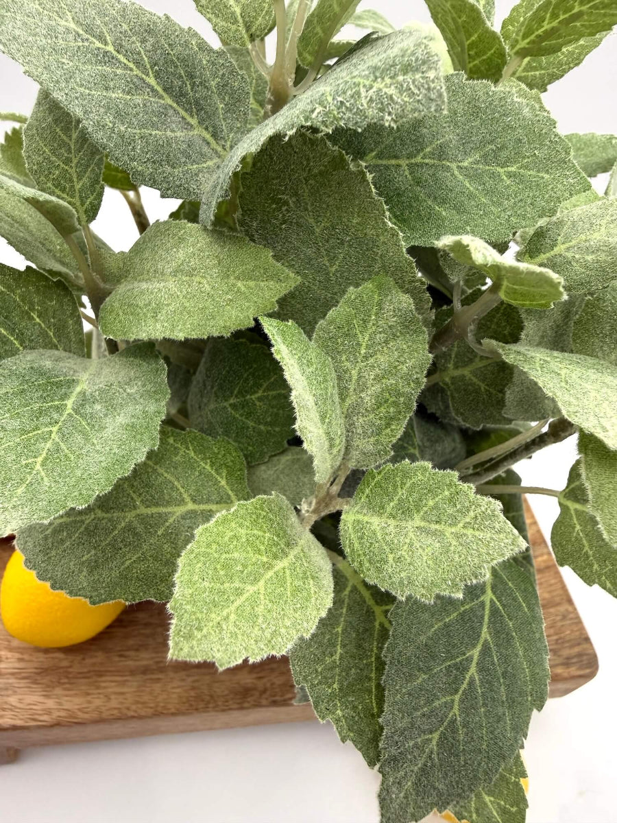 close up for realistic looking faux mint plant in black matte ceramic po vase of geometric shape set o kitchen counter
