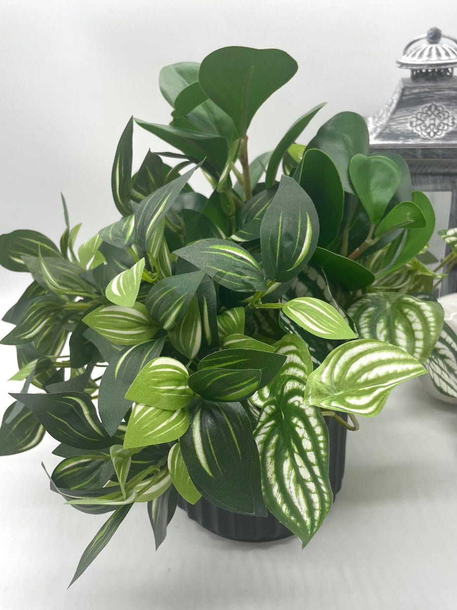 close up for mix of variety of faux plants with green and green-white leaves in black ceramic pot