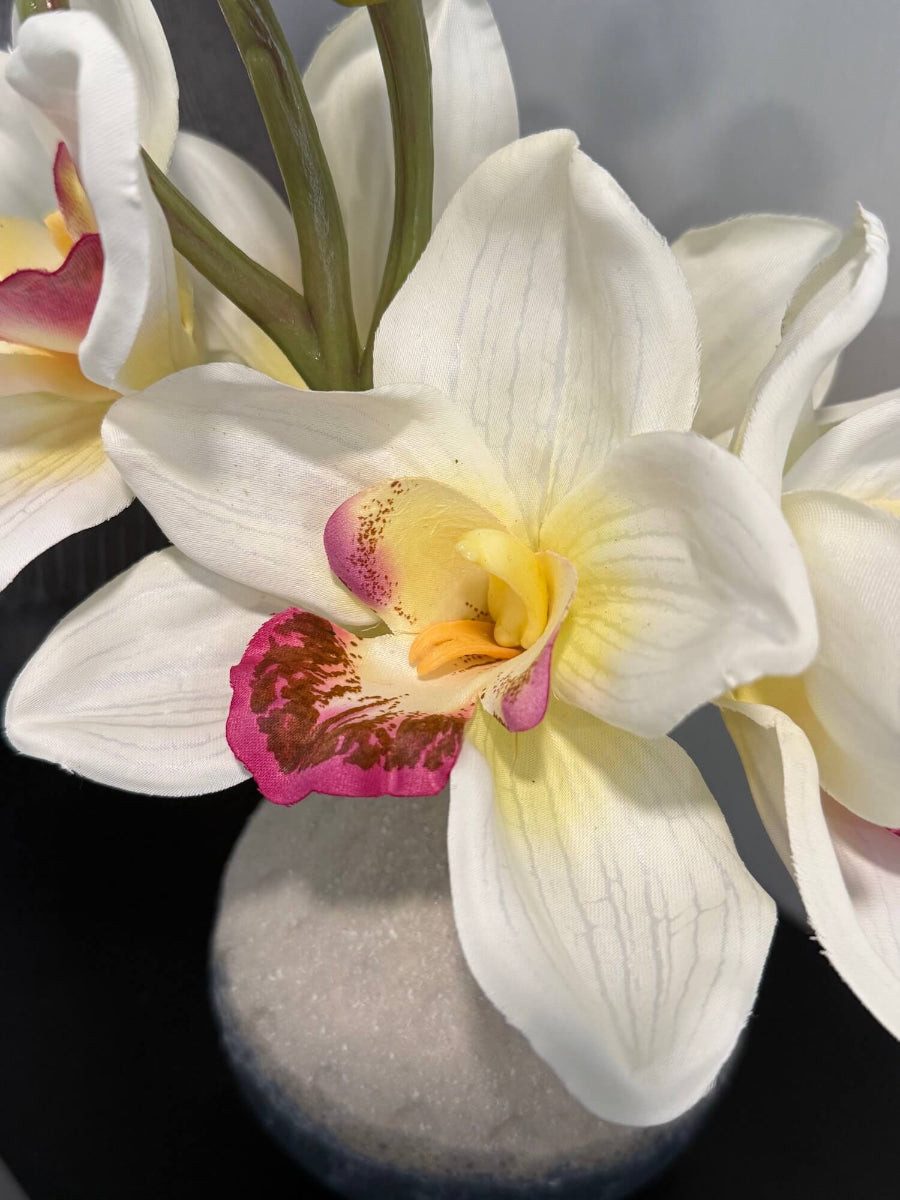 close up for white orchid flower in realistic looking small white orchid arrangement of five flowers and 3 buds in gray ceramic vase styled on coffee table