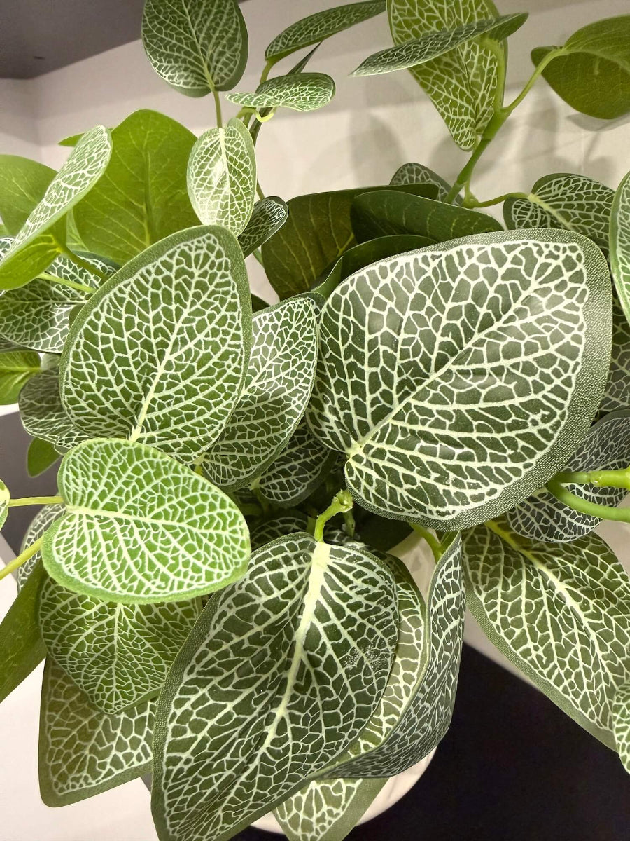 close up for green white leaf in faux plant arrangement in white pot