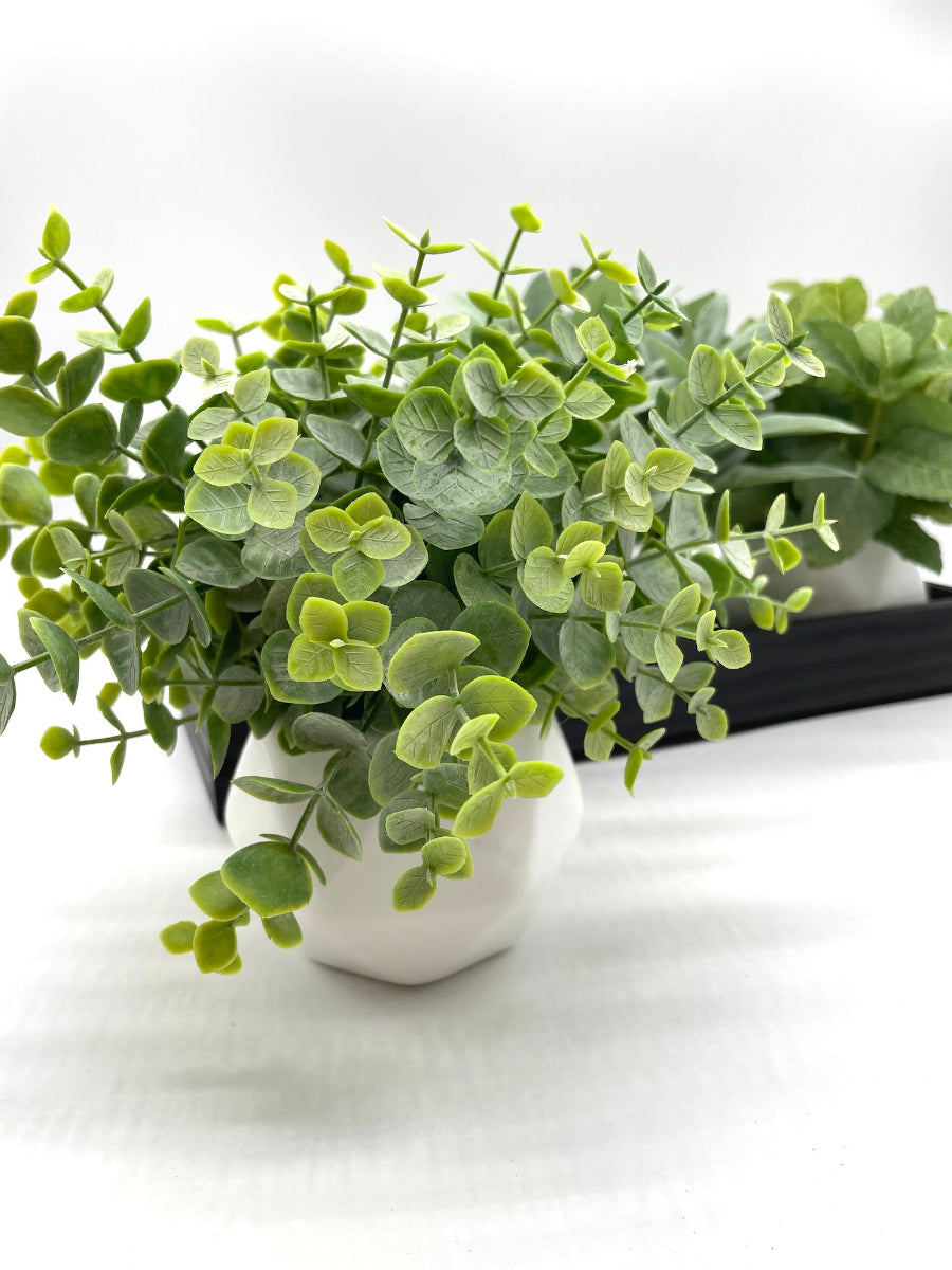 eucalyptus arrangement trio herb arrangement in ceramic vases on wooden tray