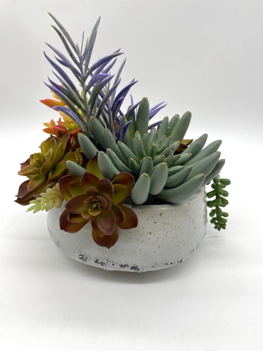 Exotic Succulents, Elegant Succulent Centerpiece, Unique Succulents Arrangement in Ceramic Pot