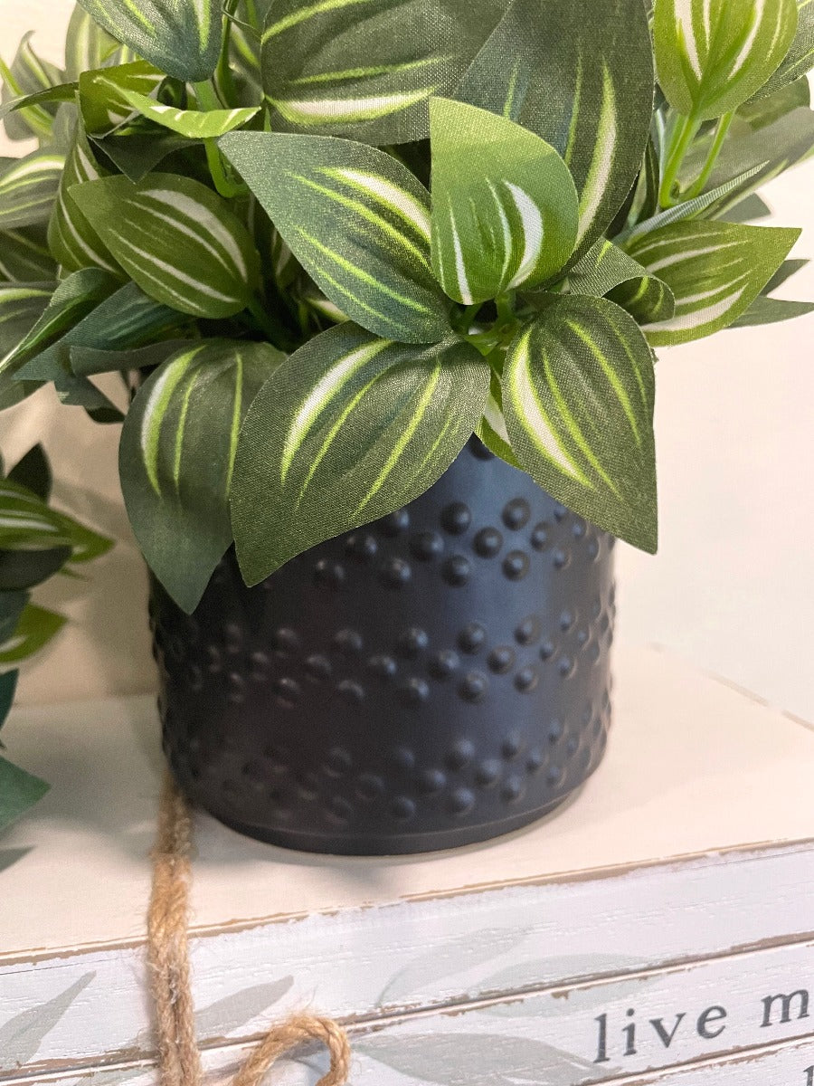 close up for set of 2 realistic looking faux plants with green leaves and white stripes set in 2 different textured ceramic pots