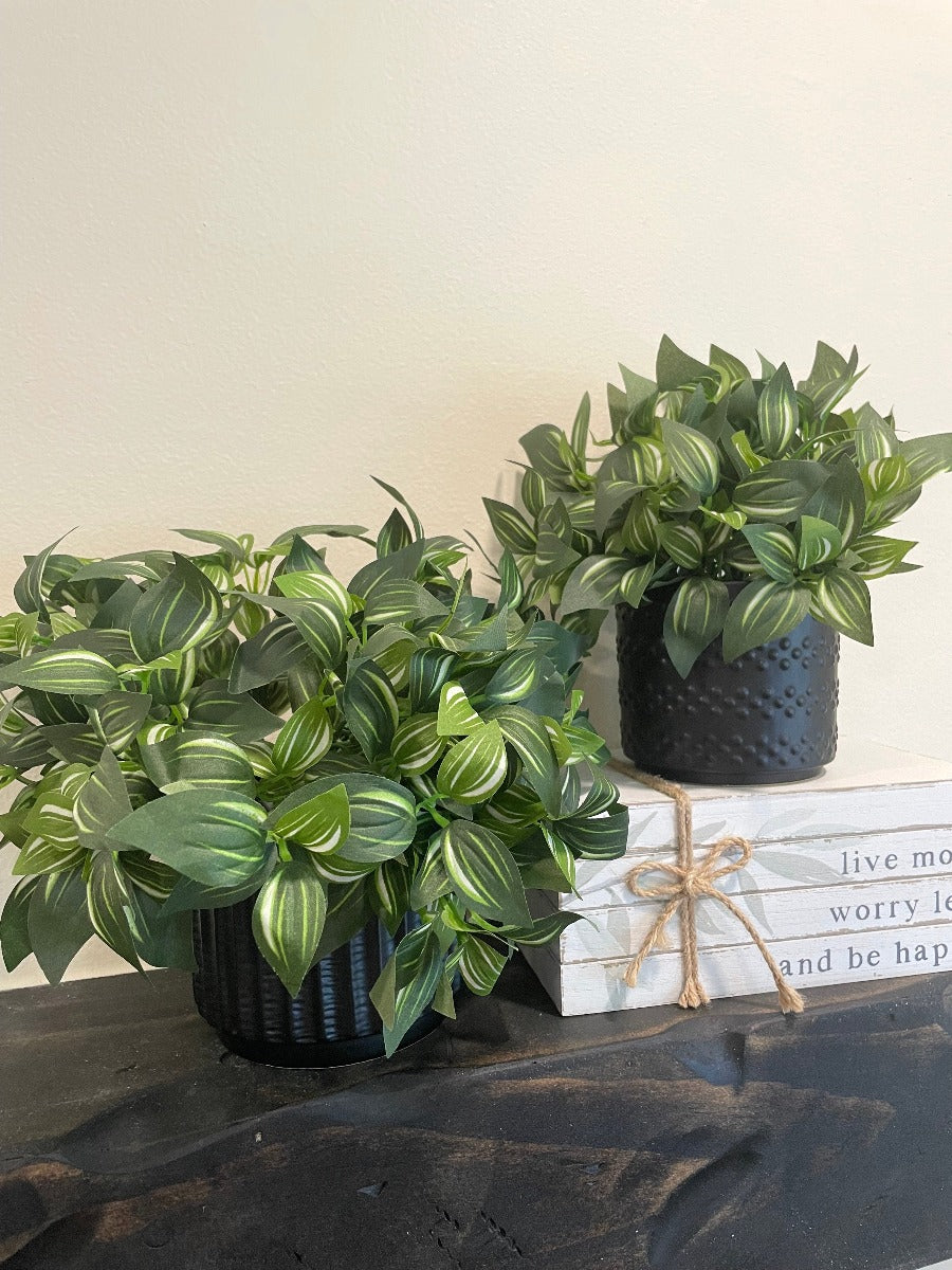 set of 2 realistic looking faux plants with green leaves and white stripes set in 2 different textured ceramic pots