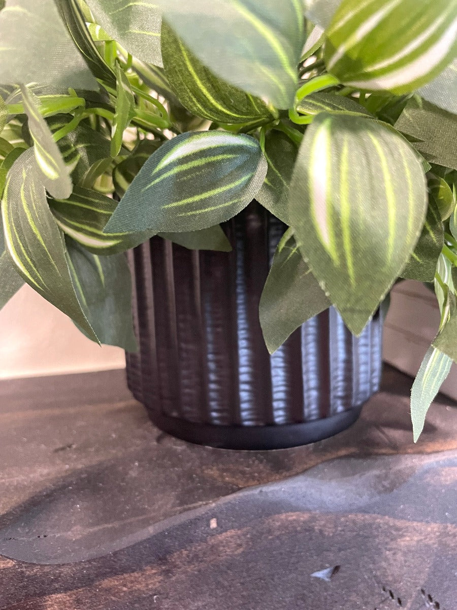 close up for set of 2 realistic looking faux plants with green leaves and white stripes set in 2 different textured ceramic pots