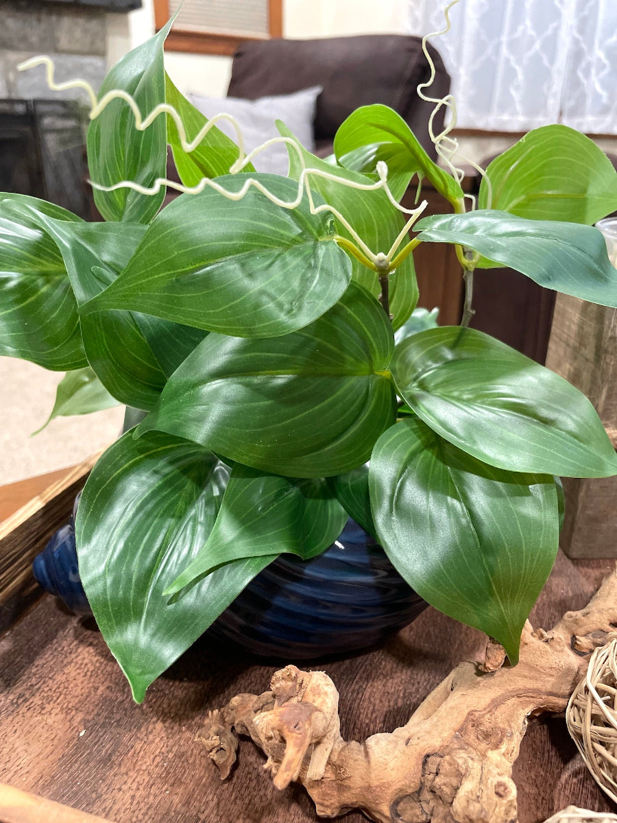 fake philodendron plant Artificial Philodendron in Sea Shell Vase, Coastal Faux Plant Decor – allseasonshousedecor.com
