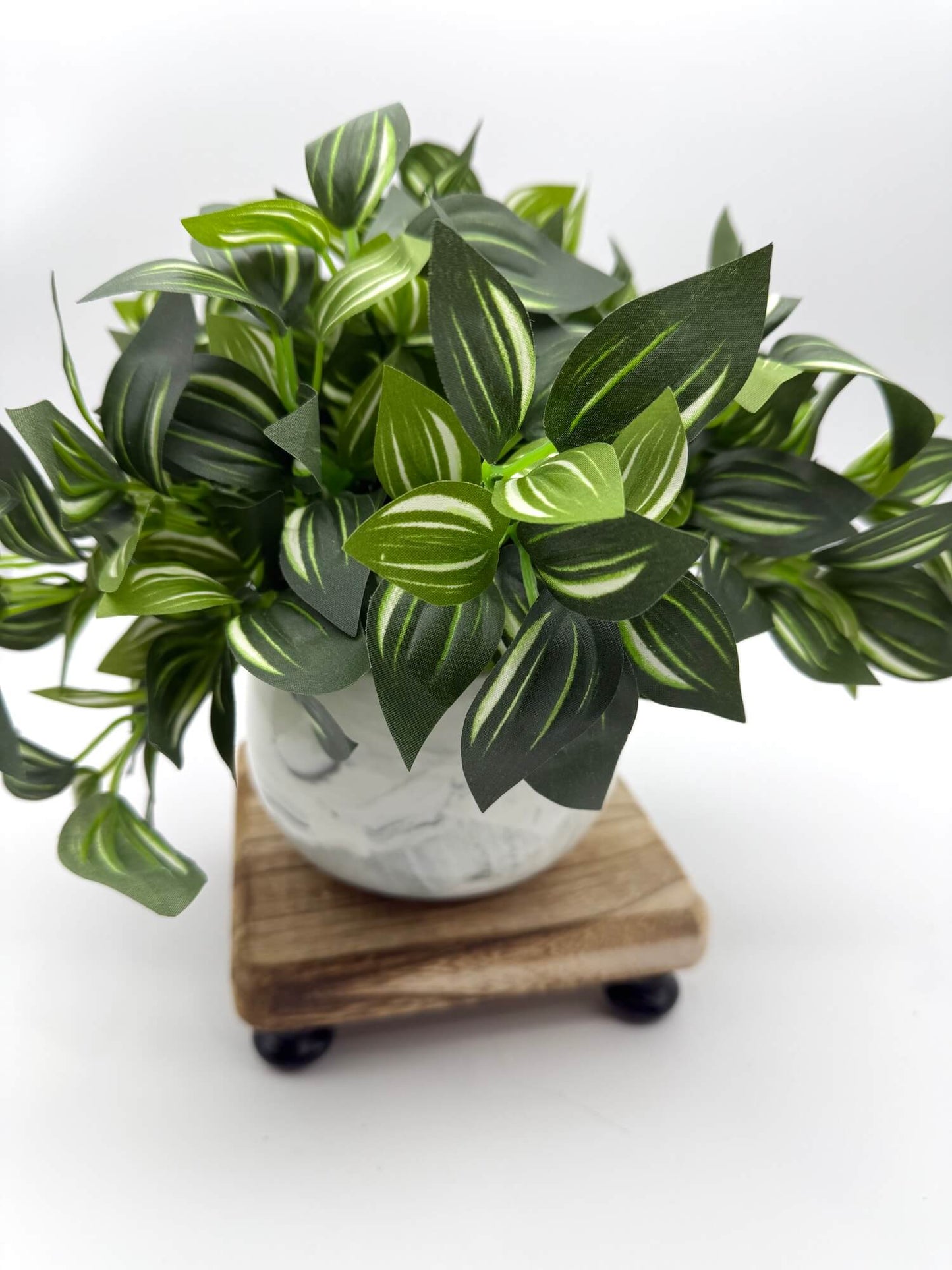 lush vivid green plant in ceramic marble-like pot in white and gray