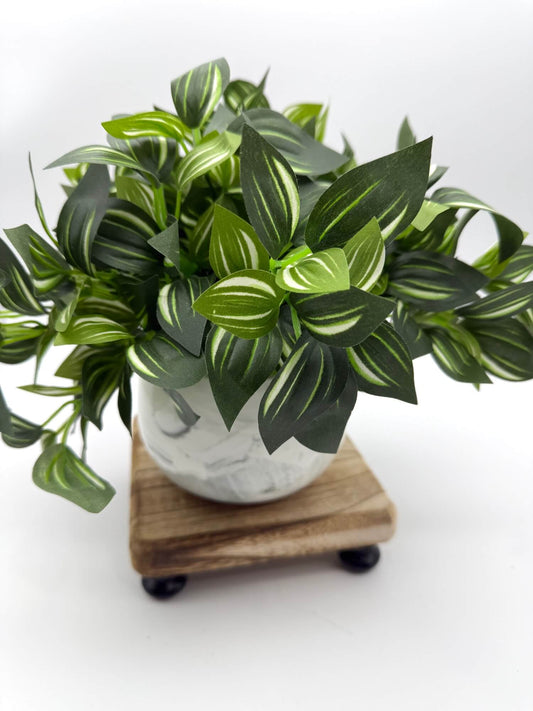 lush vivid green plant in ceramic marble-like pot in white and gray