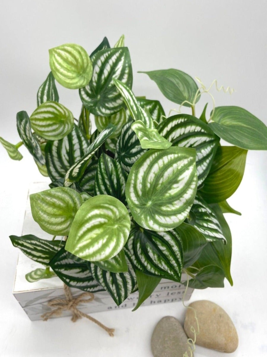 close up for artificial plant with green leaves and white stripes 