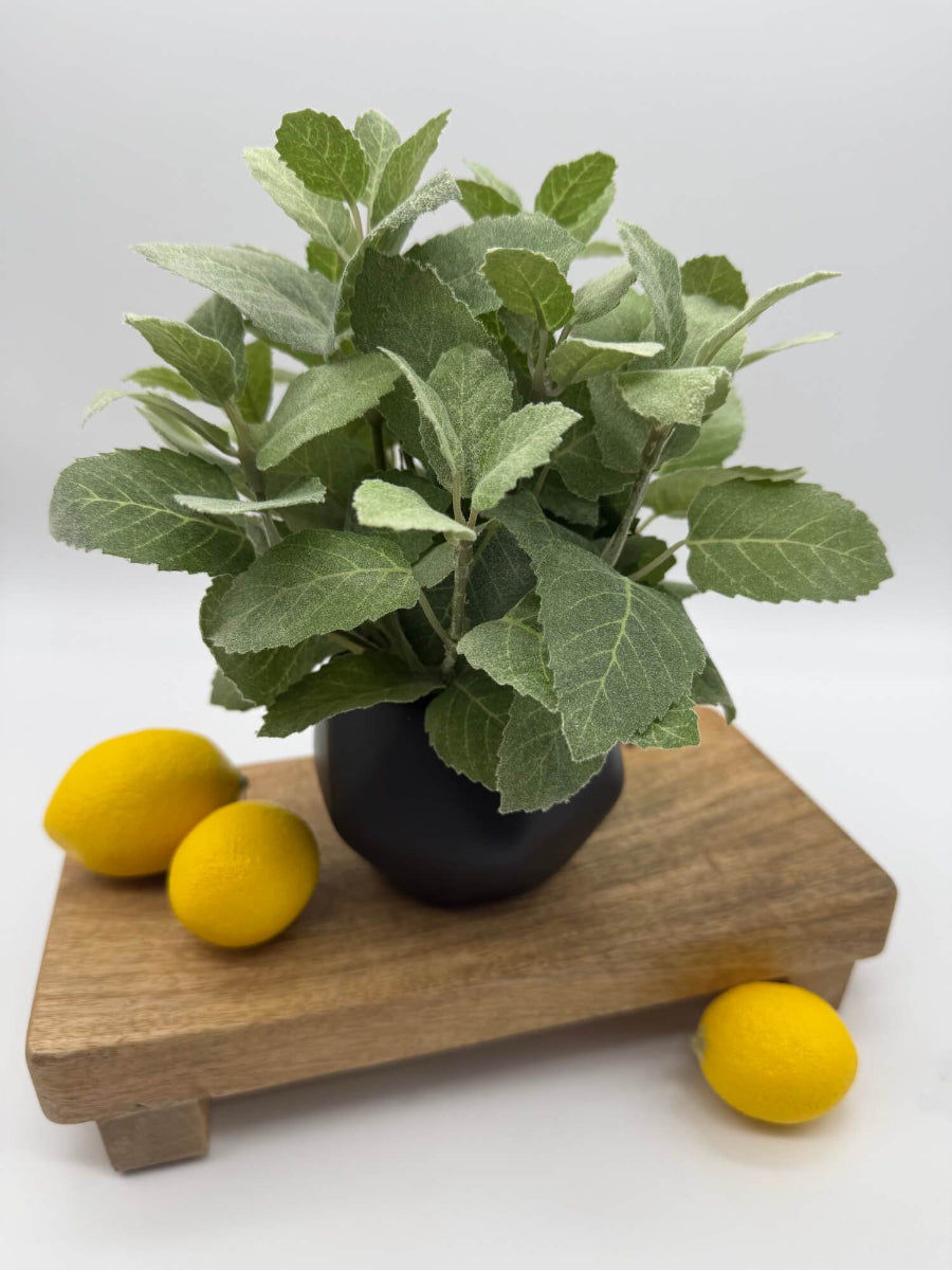 realistic looking faux mint plant in black matte ceramic po vase of geometric shape set on raiser/shelf