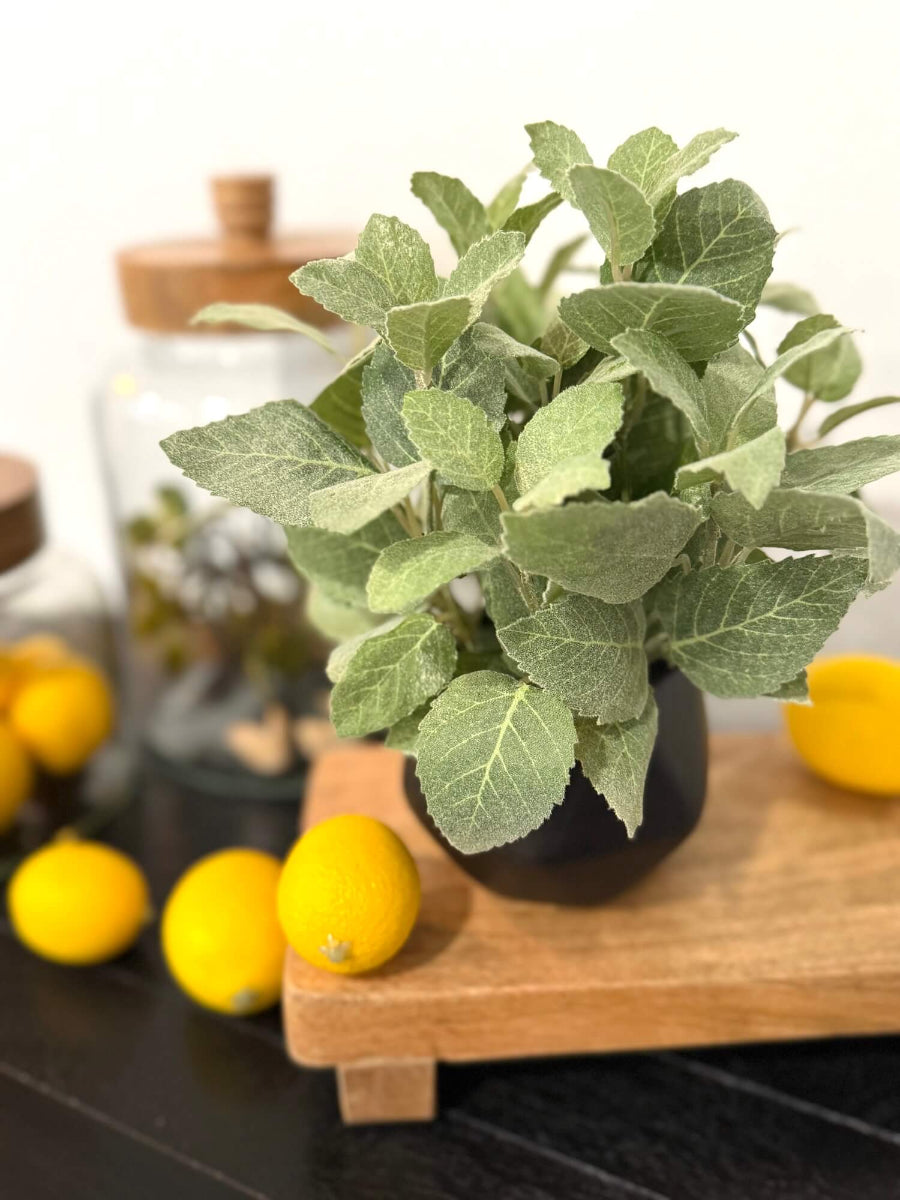 realistic looking faux mint plant in black matte ceramic po vase of geometric shape set o kitchen counter