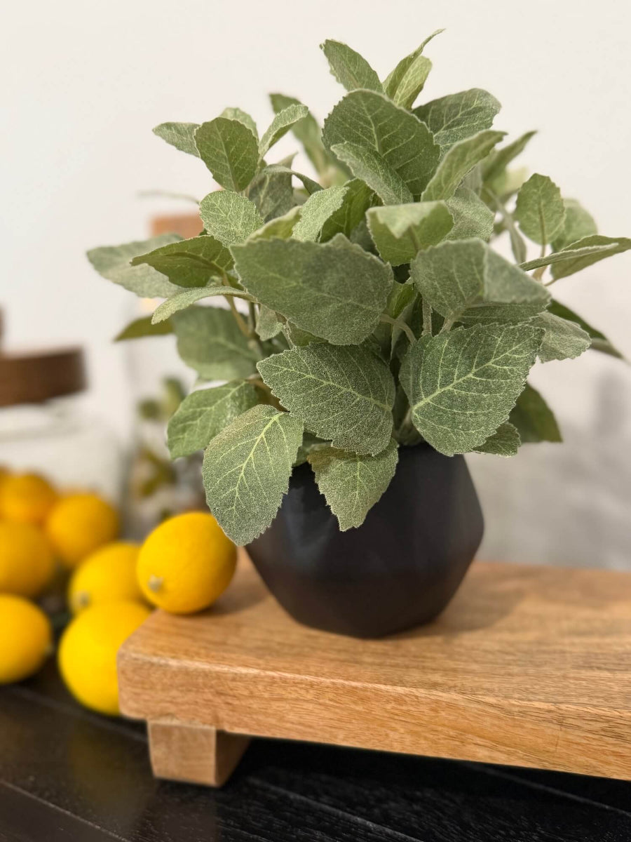 realistic looking faux mint plant in black matte ceramic po vase of geometric shape set o kitchen counter