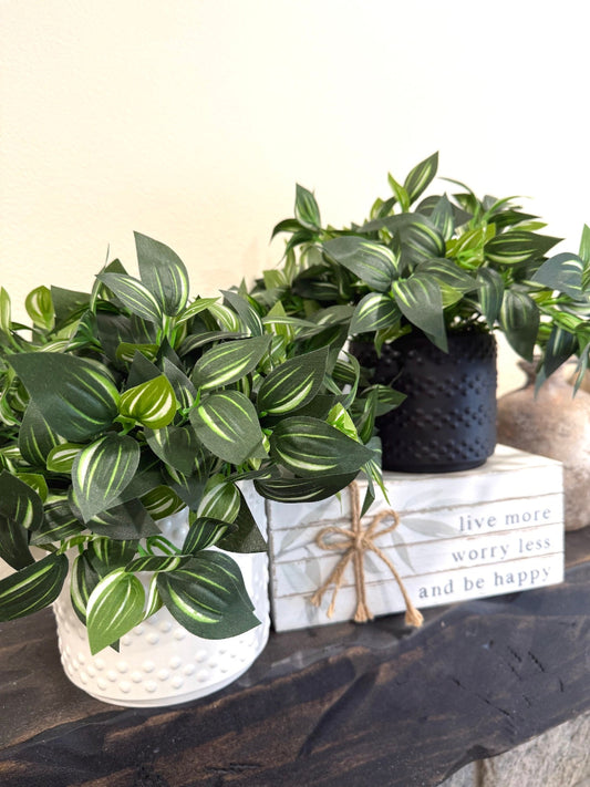 Realistic Faux Plants with green leaves and white stripes in Black and White ceramic Pot