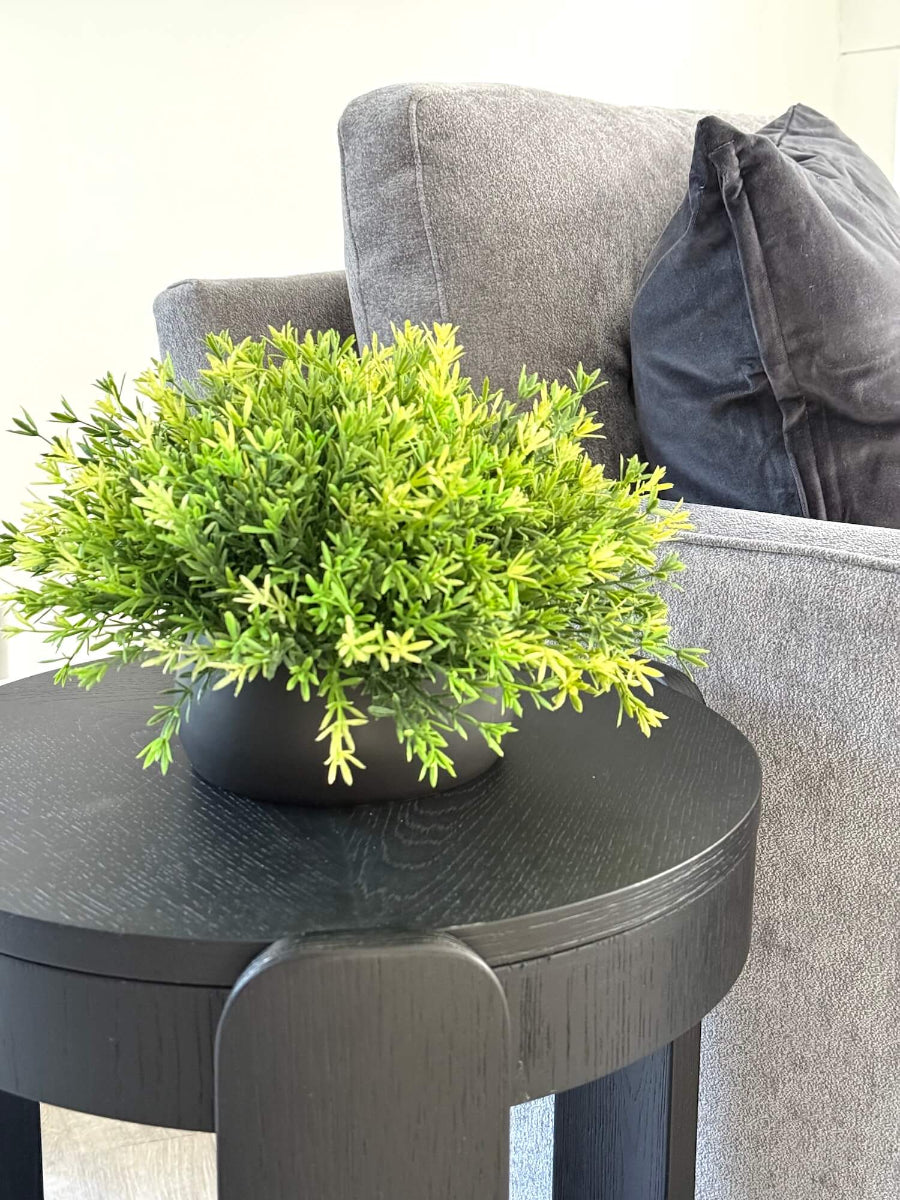 vivid greenery in black ceramic pot vase for coffee table decor