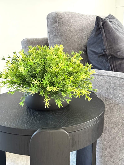vivid greenery in black ceramic pot vase for coffee table decor