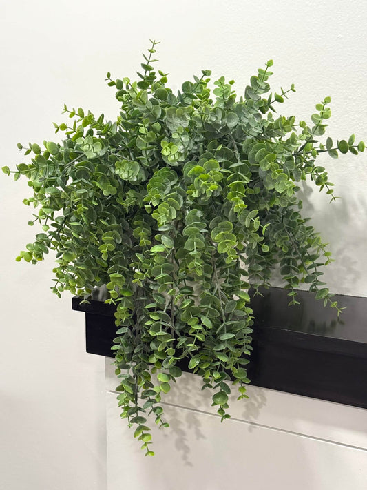 Trailing Greenery in White Ceramic Vase