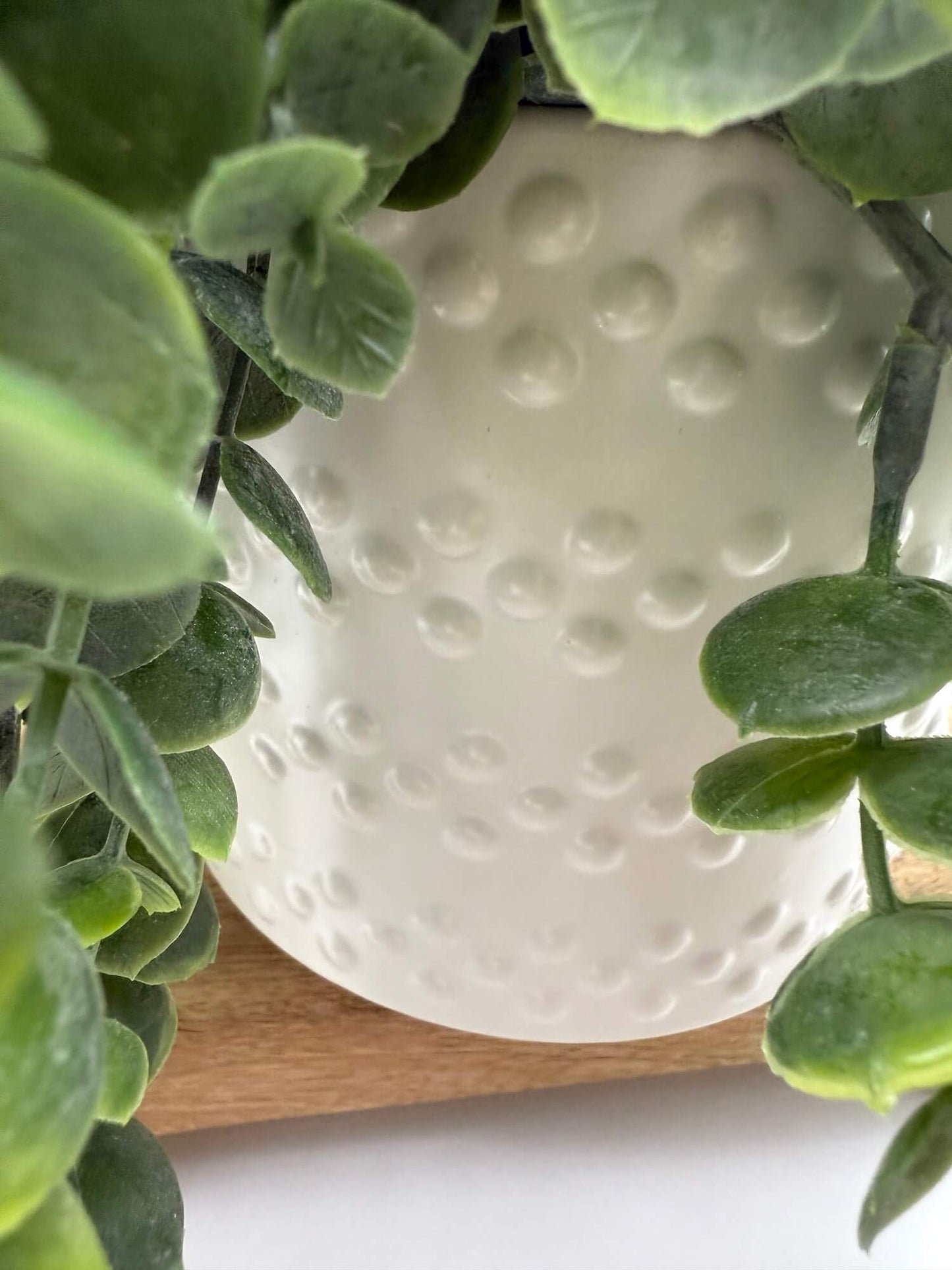 close up for white ceramic vase pot for realistic trailing greenery