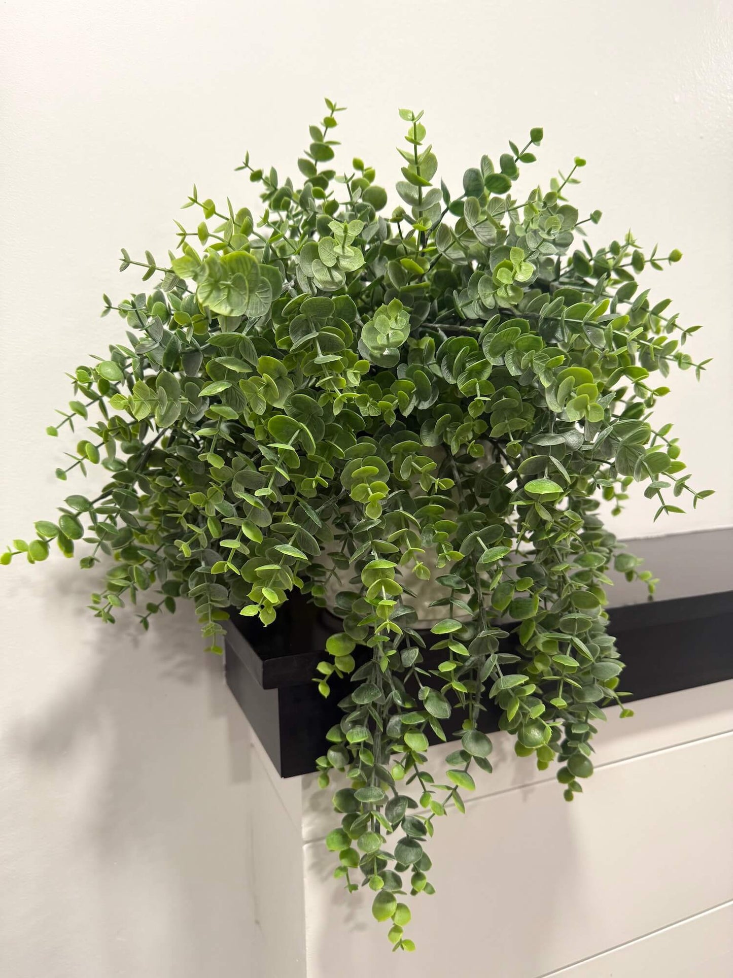 Trailing Greenery in White Ceramic Vase