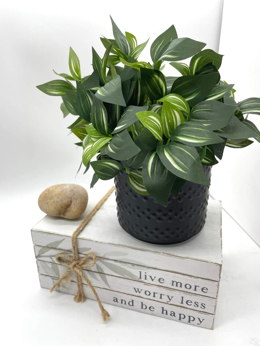 realistic looking faux plant with green leaves with white stripes placed in elegant black ceramic por