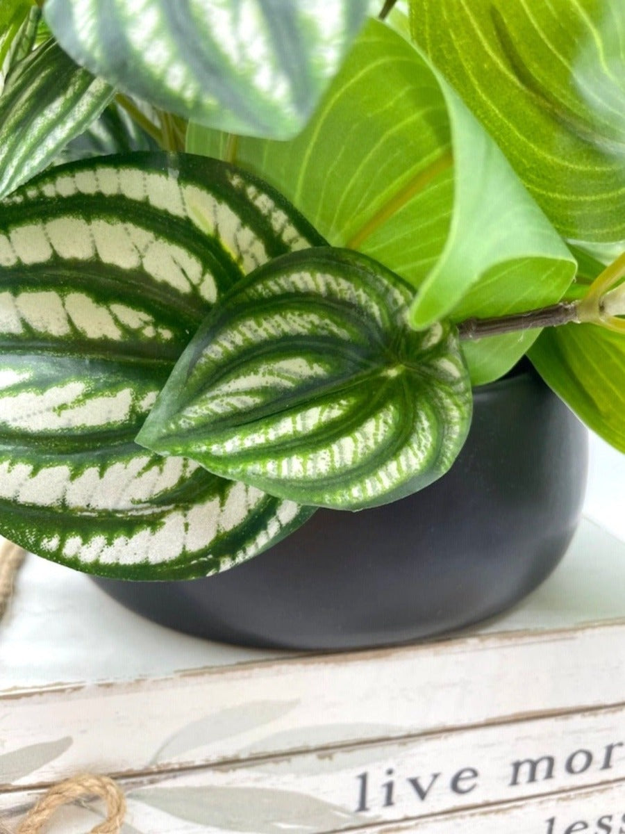 close up for faux  plant with green leaves and white stripes in black ceramic vase pot