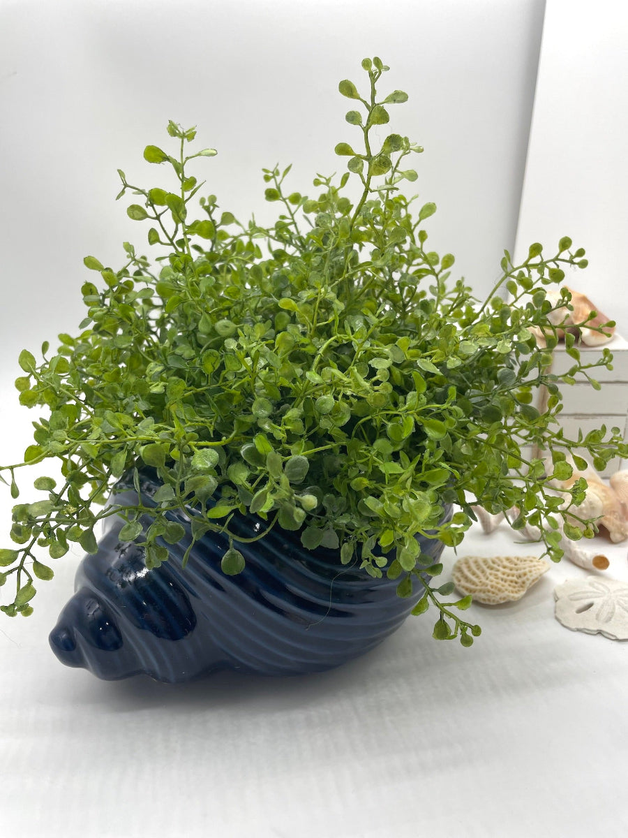 navy blue Ceramic Sea Shell Vase with vivid green Fake Plants