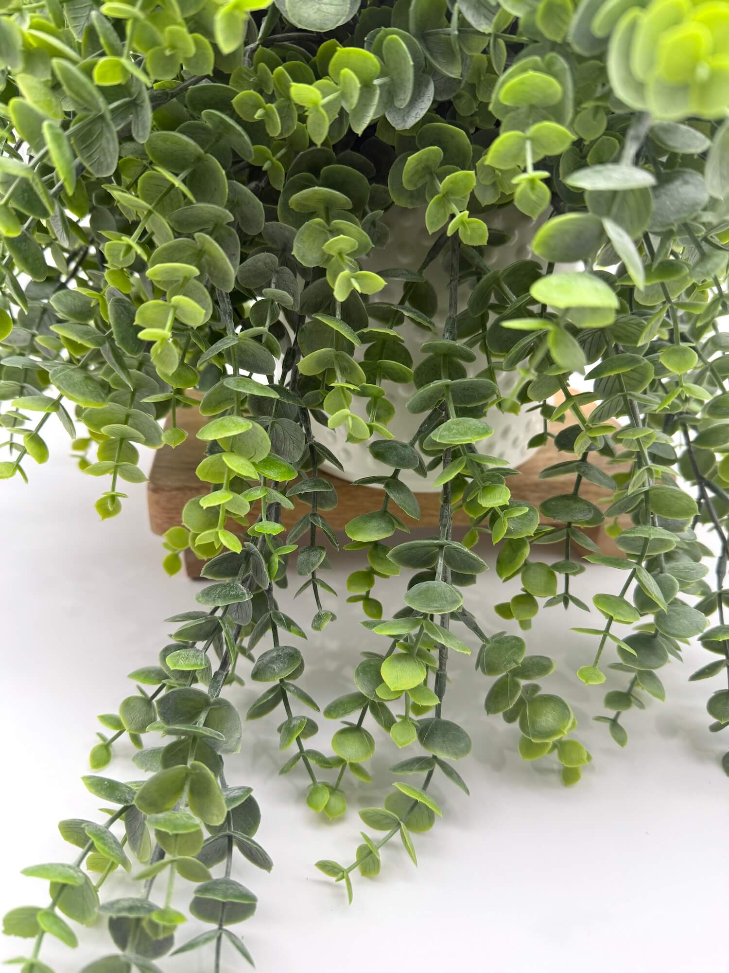 close up of realistic eucalyptus Trailing Greenery in White Ceramic Vase