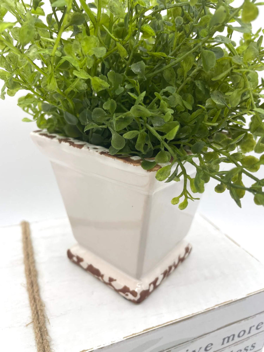 close up for Small vivid green realistic Fake Plant in white Square Ceramic Pot